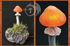 Pilzlicht-Mandarinchen-02