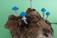 Pilzlicht-Moloch-03