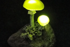 Pilzlicht-Mutter-und-Kind-04
