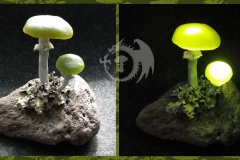 Pilzlicht-Mutter-und-Kind-06