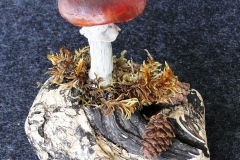 Pilzlicht-Russula-01
