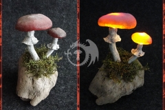 Pilzlicht-Siblings-03