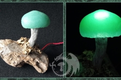 Pilzlicht-Sprout-03