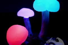Pilzlicht-Stardrops-03