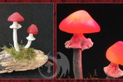 Pilzlicht-Strawberries-02