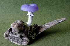 Pilzlicht-Viola-02