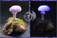 Pilzlicht-Violet-04