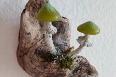 Pilzlicht-Waldgesellen-04