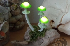 Pilzlicht-Waldtraud-01