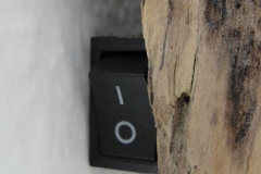 Pilzlicht-Wallhanger-04