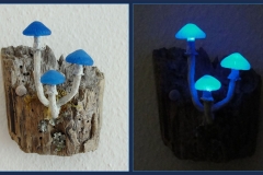 Pilzlicht-Wallhanger-05