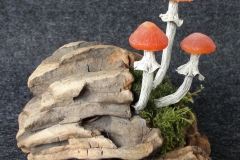 Pilzlicht-Willow-Sisters-01