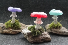 Werbe-Pilze-Trio-01