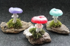 Werbe-Pilze-Trio-02