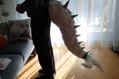 OLYMPUS DIGITAL CAMERA