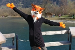 Fursuit-Fuchs-05