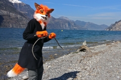 Fursuit-Fuchs-06
