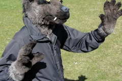 Fursuit-Wolf-01