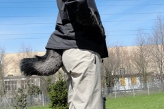 Fursuit-Wolf-02