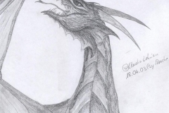 Drachenwut-Psydrache