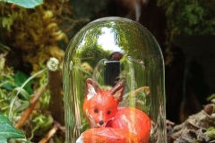 Fuchs-unter-Glas-02