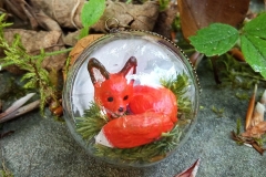 Fuchs-unter-Glas-03