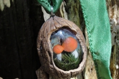 Pilze-in-Nuss-02