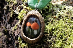 Pilze-in-Nuss-03