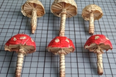 Papier-Pilze-02