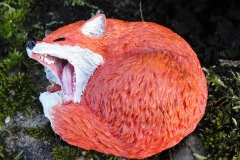 Schlummer-Fuchs-01