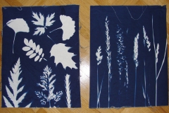Cyanotype-01