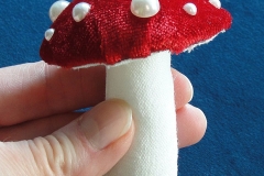Pilz-01
