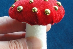 Pilz-02