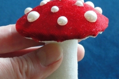 Pilz-05