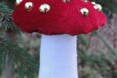 Pilz-06