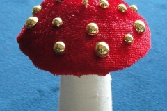 Pilz-07