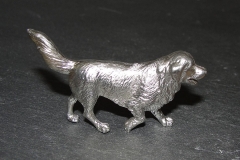 Zinn-Berner-Sennenhund