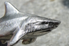 Zinn-Haifisch-Detail