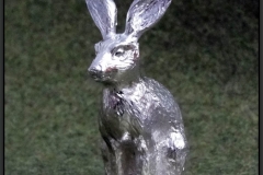Zinn-Hase