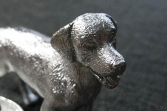 Zinn-Labrador-01