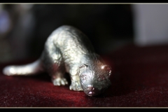 Zinn-Otter