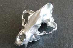 Zinn-Schaedel-Hyaene-02